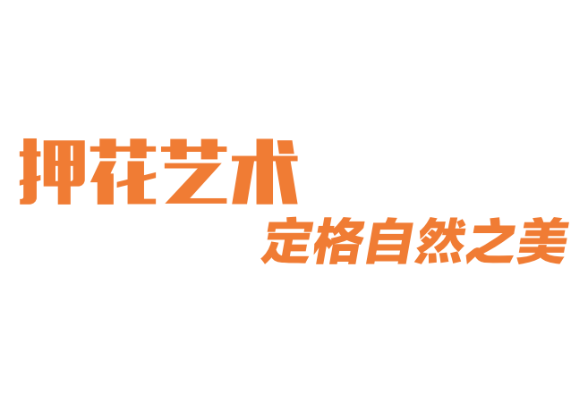 押花艺术 定格自然之美