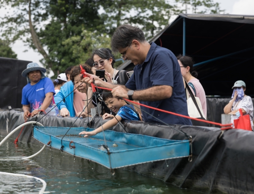 Singapore’s “30 by 30” goal – Farm Tour Offers Public Insight into Local Agriculture