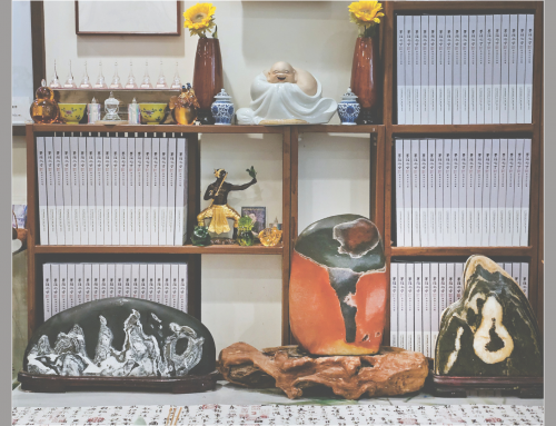 灵石世界的凝视