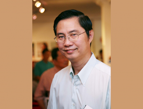 追逐生命中的光彩 ——成君专访