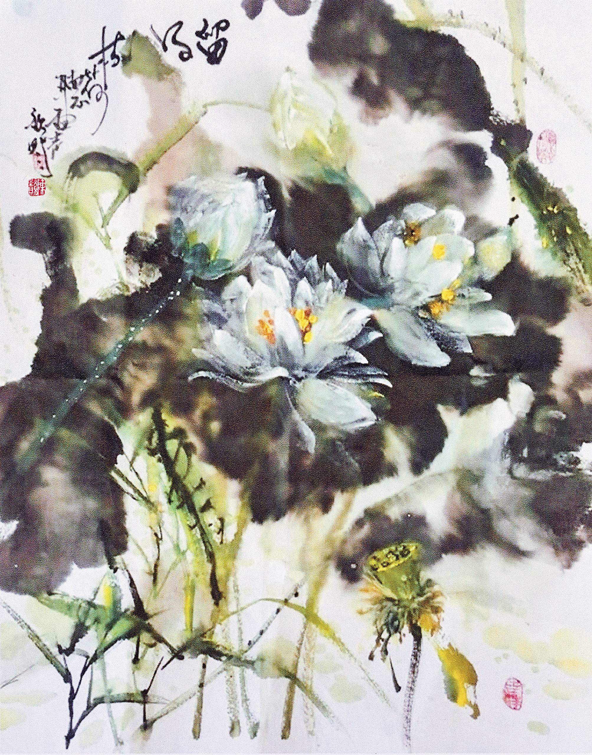 《留得枯荷听雨声》