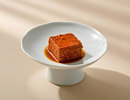 味蕾的珍珠——腐乳