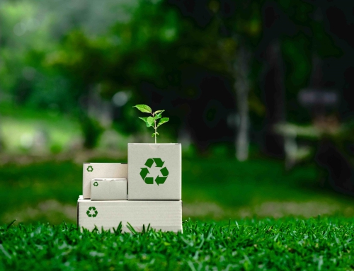 你的生活够绿吗？