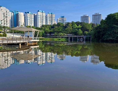 油池的时空切片——当翻沙水道的清风掠过双溪加株的木业