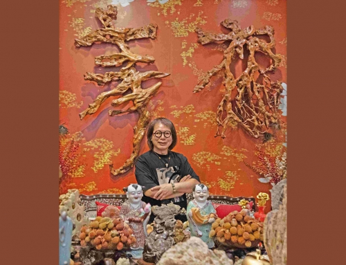 一木一世界 在自然与匠心之间