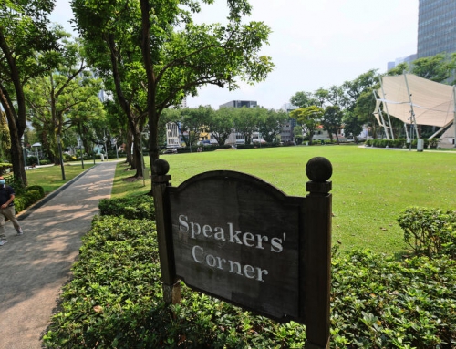 芳林公园 承载百年记忆的都市绿洲