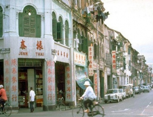 烟火松柏：记一条老街的余温