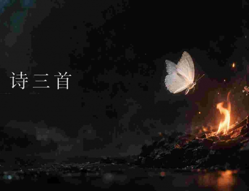 诗三首